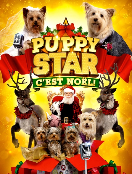 Puppy Star : c'est Noël !