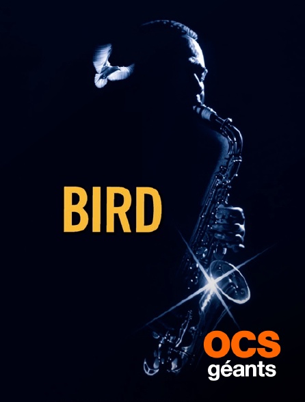 OCS Géants - Bird