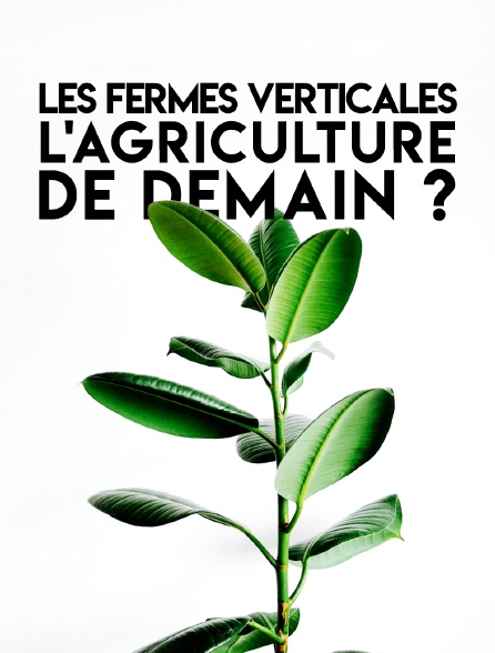 Les fermes verticales : l'agriculture de demain ?