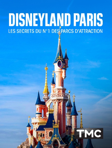 TMC - Disneyland Paris : les secrets du n°1 des parcs d'attraction