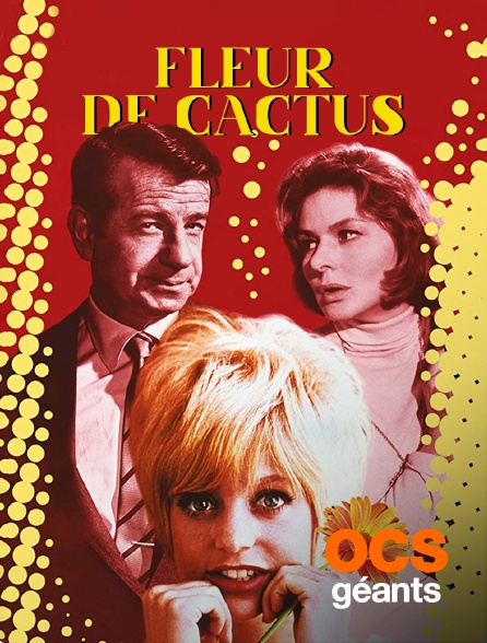 OCS Géants - Fleur de cactus