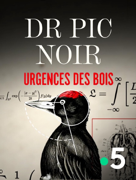 France 5 - Dr Pic Noir : urgences des bois
