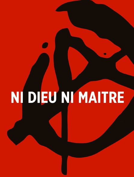 Ni Dieu ni maître - Les réseaux de la colère (1965 - 2012)