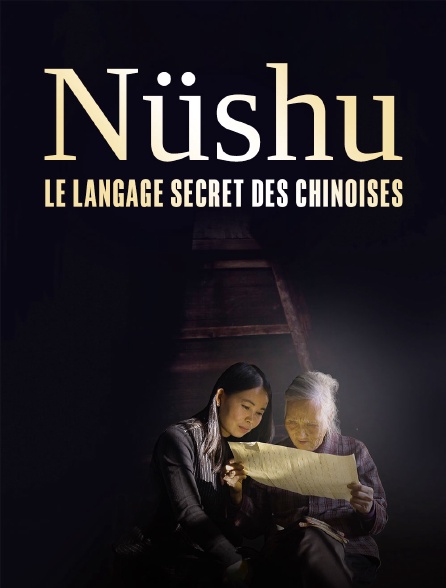 Nüshu : Le langage secret des Chinoises