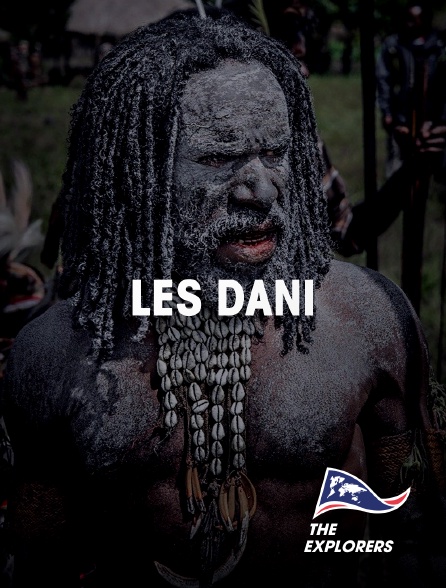 The Explorers - Les Dani