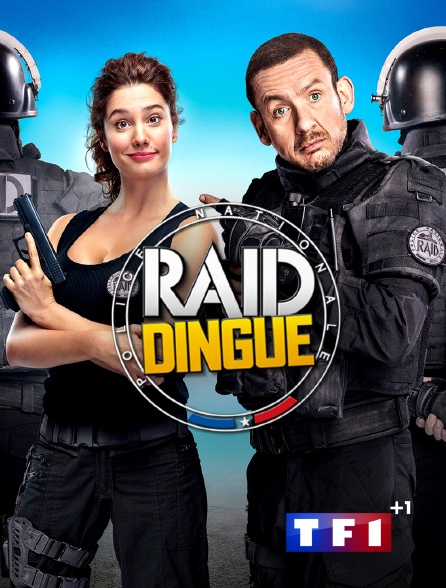 TF1 +1 - Raid dingue