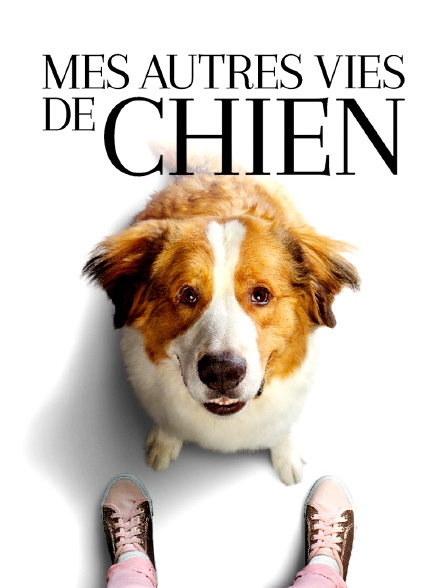 Mes autres vies de chien