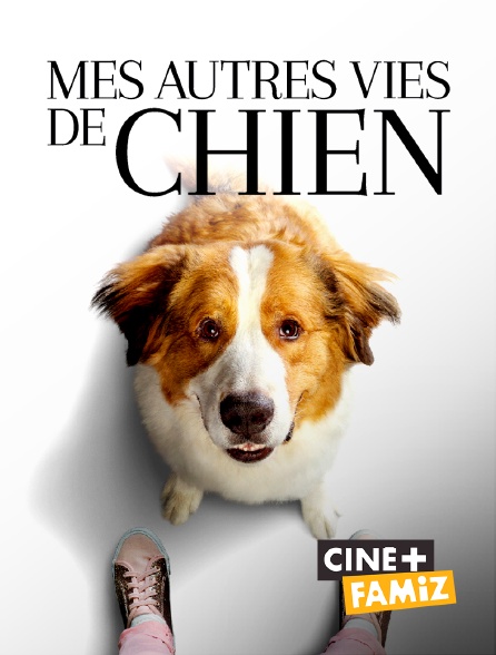 Ciné+ Famiz - Mes autres vies de chien
