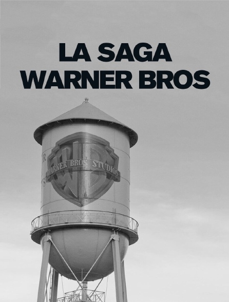 La saga Warner Bros