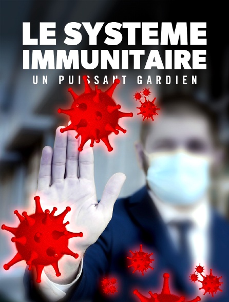 Le système immunitaire, un puissant gardien