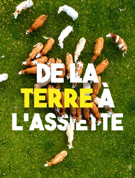 De la terre à l'assiette