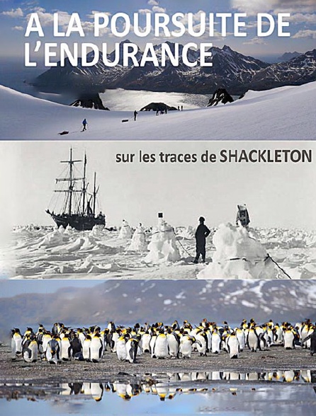 A la poursuite de l'endurance, sur les traces de Shackleton