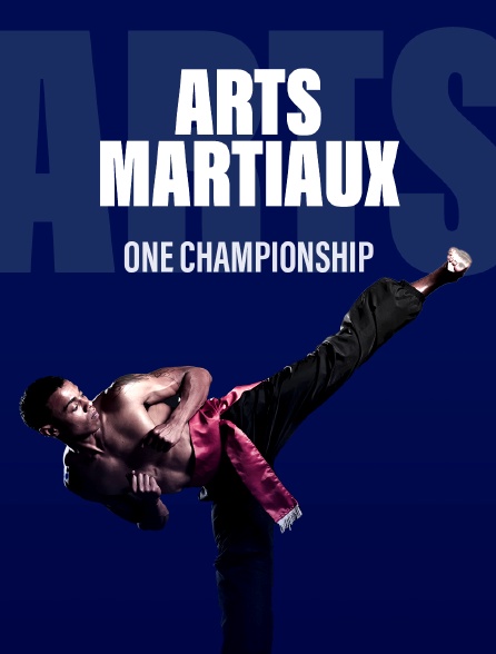 Arts martiaux - ONE Championship