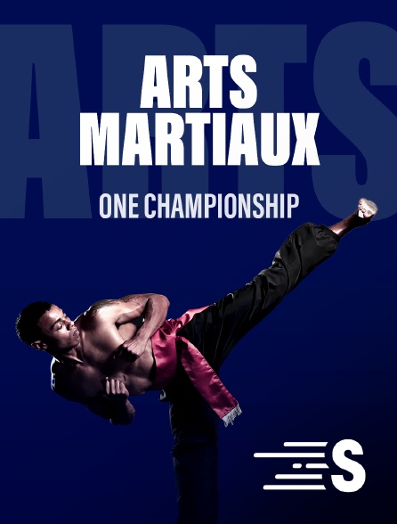 Sport en France - Arts martiaux - ONE Championship