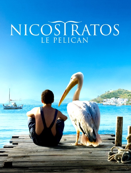 Nicostratos, le pélican