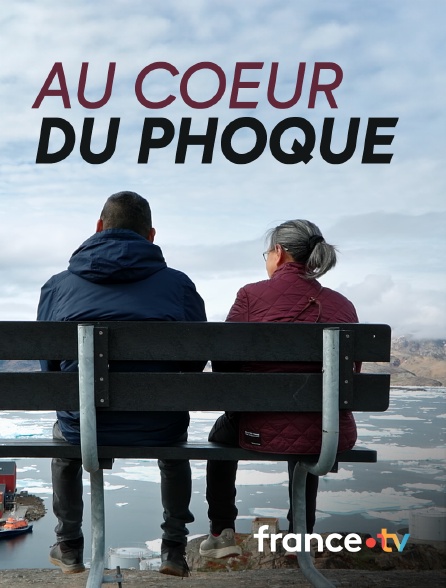 france.tv - Au coeur du phoque