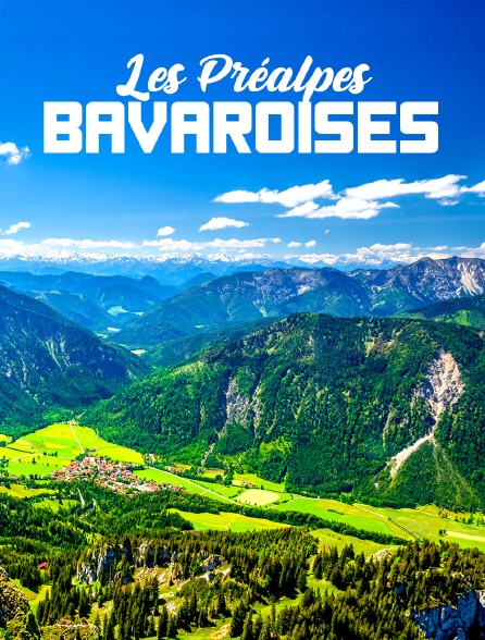 Les Préalpes bavaroises : Un sanctuaire pour la faune