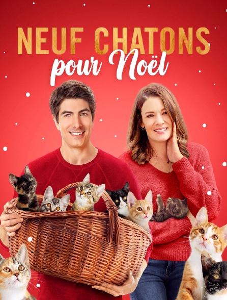 Neuf chatons pour Noël