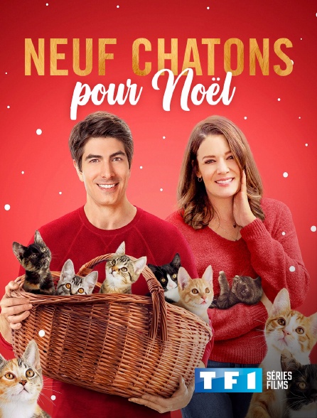 TF1 Séries Films - Neuf chatons pour Noël