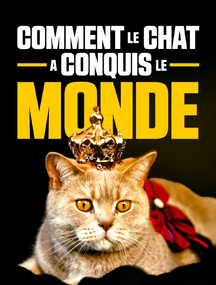 Comment le chat a conquis le monde