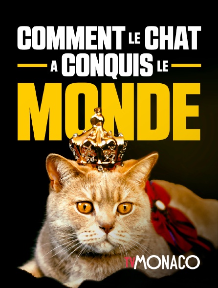 TV Monaco - Comment le chat a conquis le monde