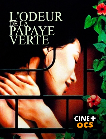 CINÉ Cinéma - L'odeur de la papaye verte