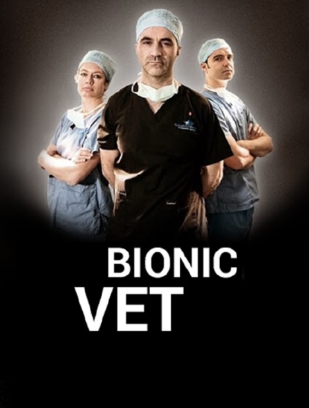 Bionic Vet'