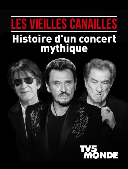 TV5MONDE - Les vieilles canailles : Histoire d'un concert mythique
