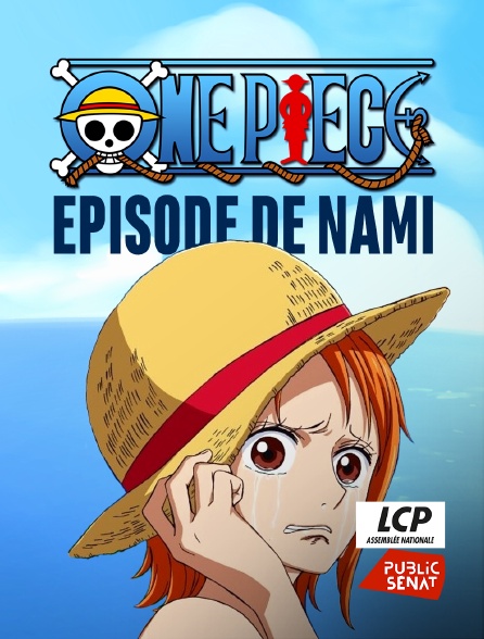 LCP Public Sénat - One Piece - Nami