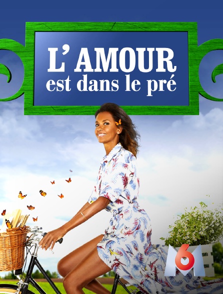 L Amour Est Dans Le Pré En Streaming L'amour est dans le pré en Streaming sur M6 - Molotov.tv