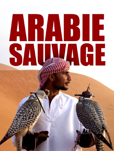 Arabie sauvage