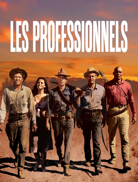 Les professionnels