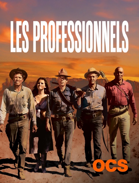 OCS - Les professionnels