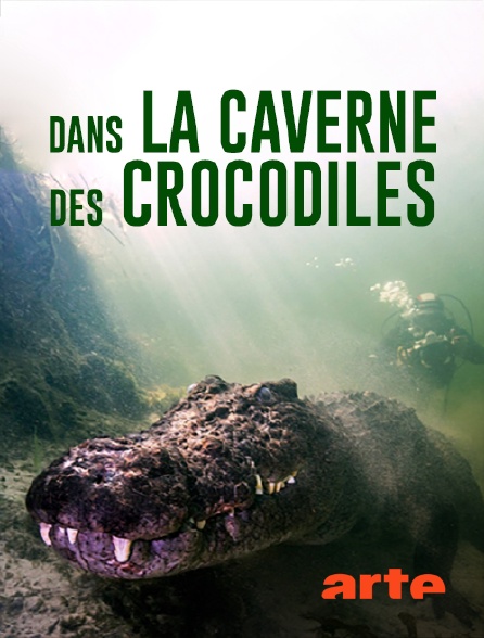 Arte - Dans la caverne des crocodiles