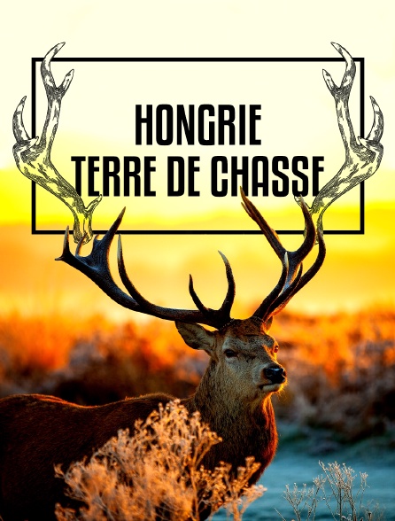 Hongrie, terre de chasse