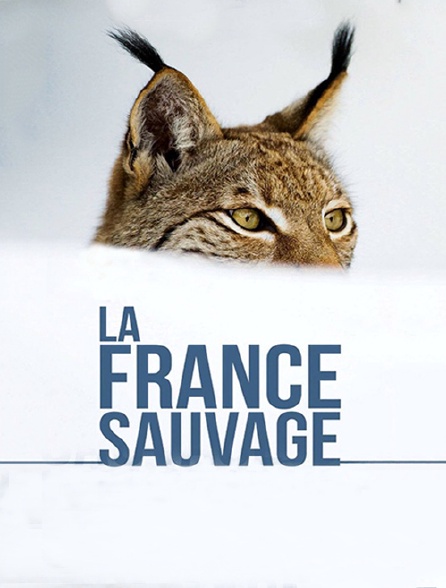 La France sauvage