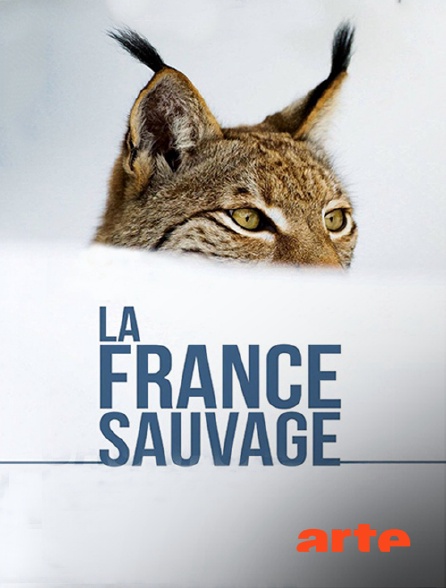 Arte - La France sauvage