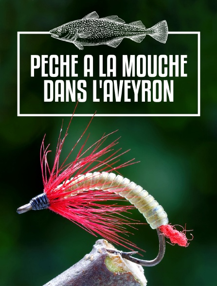 Pêche à la mouche dans l'Aveyron