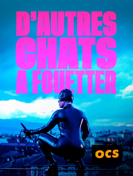 OCS - D'autres chats à fouetter