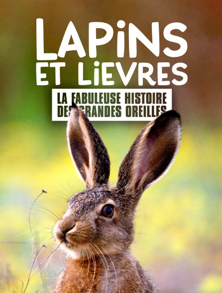Lapins et lièvres : La fabuleuse histoire des grandes oreilles