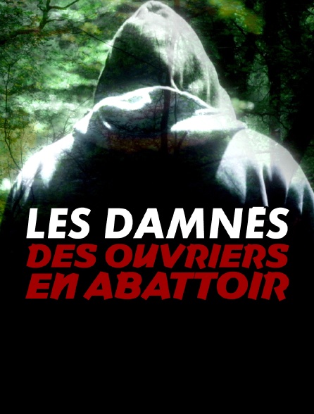 Les damnés des ouvriers en abattoir