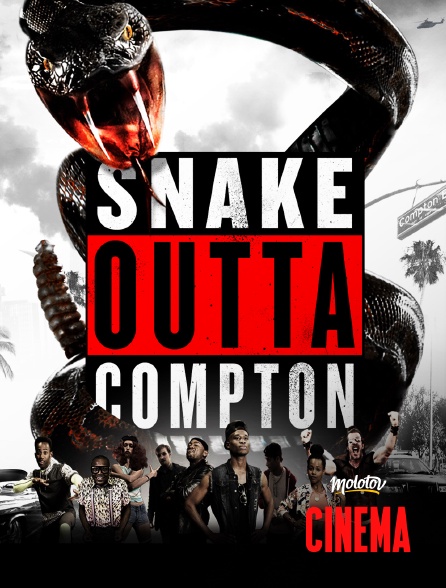 Molotov Channels Cinéma - Snake outta compton