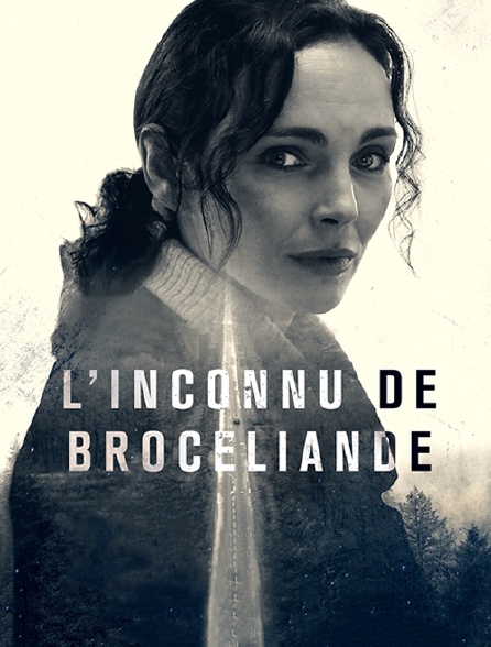 L'inconnu de Brocéliande