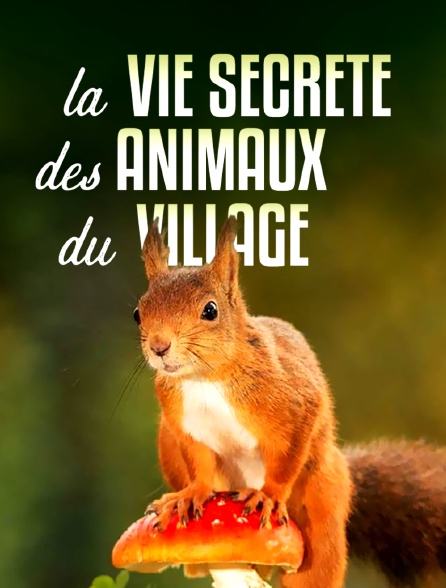 La vie secrète des animaux du village