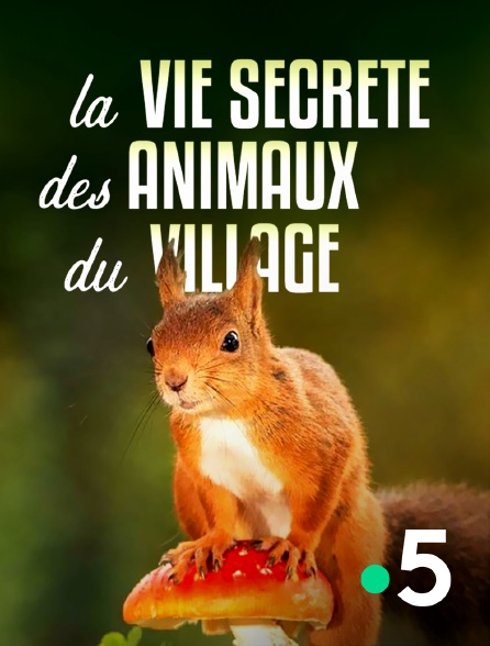 France 5 - La vie secrète des animaux du village