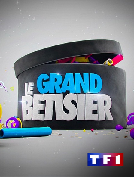 TF1 - Le grand bêtisier
