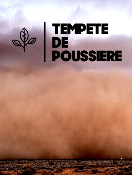 Tempête de poussière