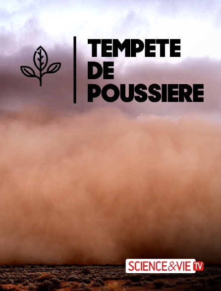 Science et Vie TV - Tempête de poussière