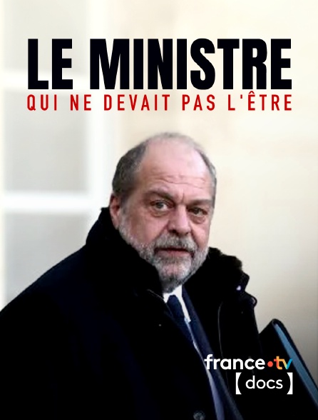 France TV Docs - Le ministre qui ne devait pas l'être