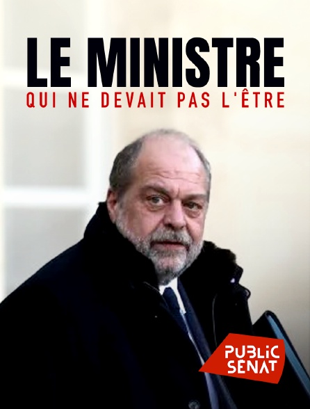 Public Sénat - Le ministre qui ne devait pas l'être